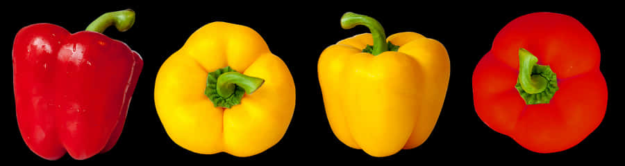 Colorful Bell Peppers Array