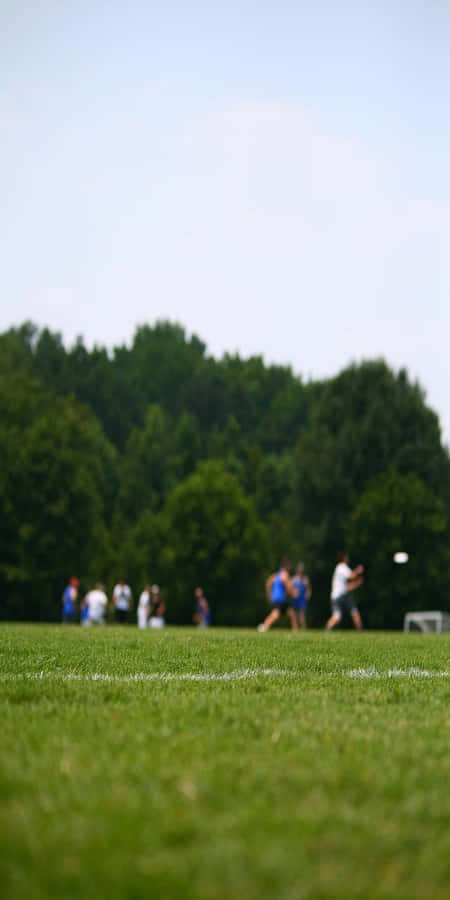 Portræt legerum Pixel 3 Frisbee baggrund