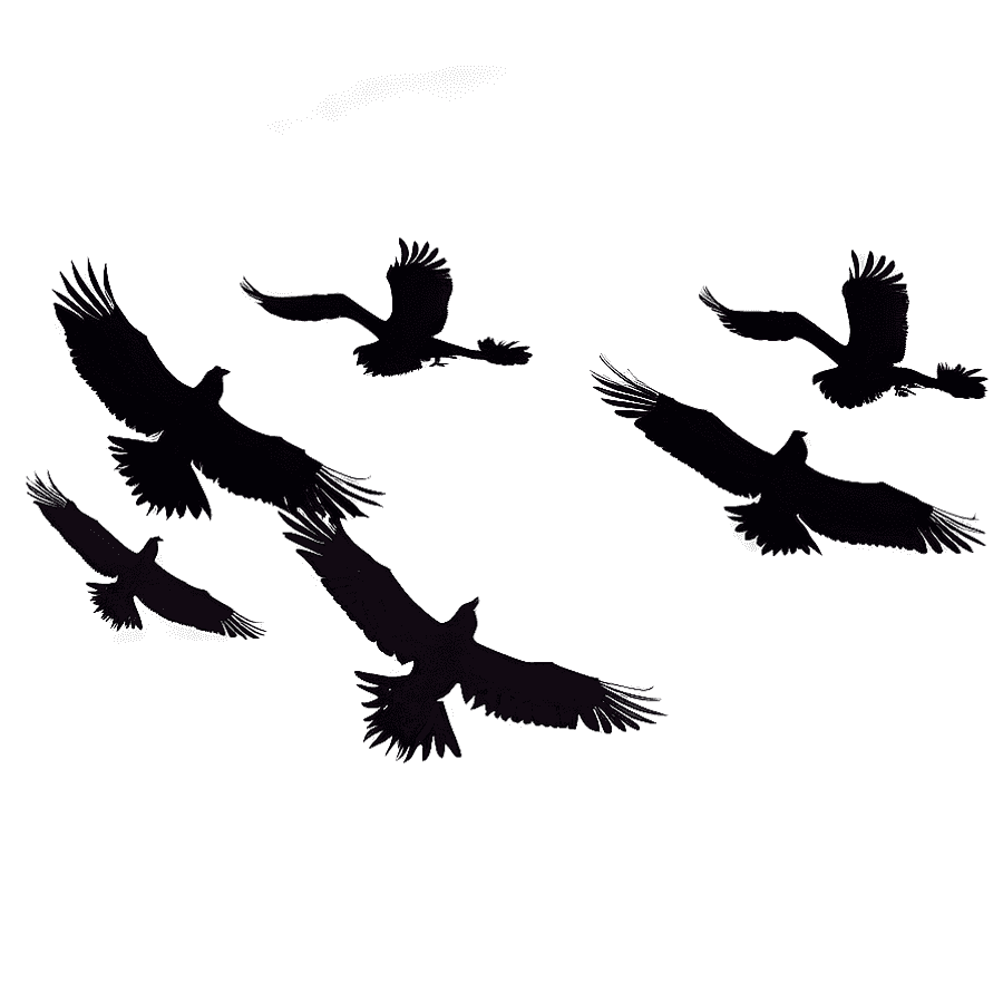 Silhouette of Flying Birds PNG nif