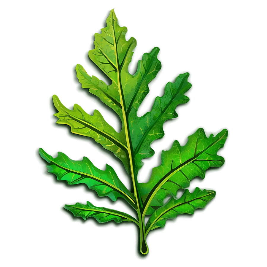Green Oak Leaf Graphic PNG 06292024