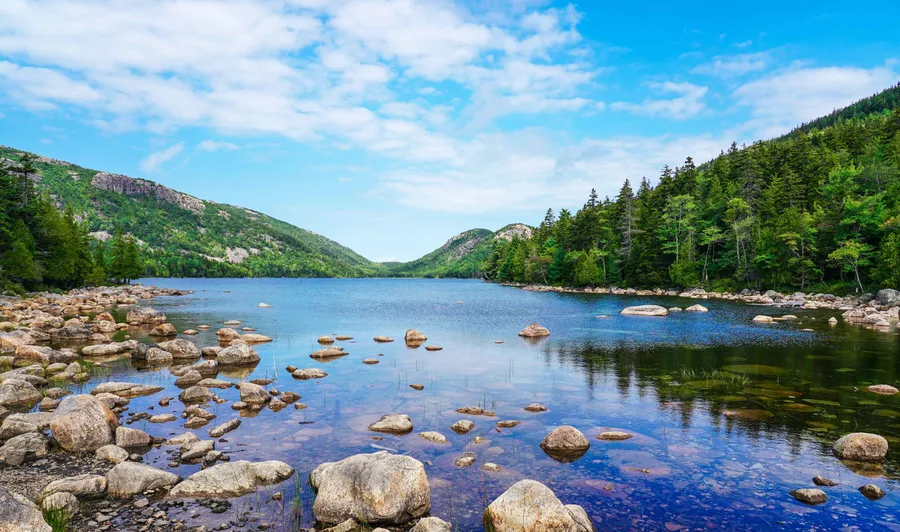Nature Background