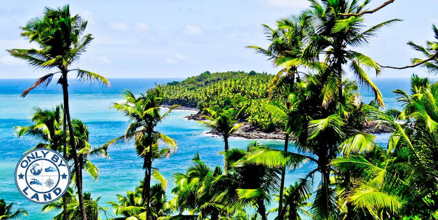 Plantasda Guiana Francesa