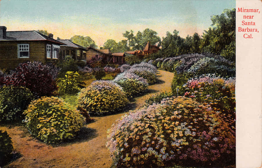 Cartão Postal Vintage Miramar Santa Barbara