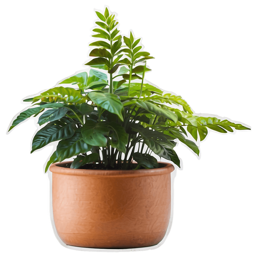 Tall Plant on Transparent Background PNG 62