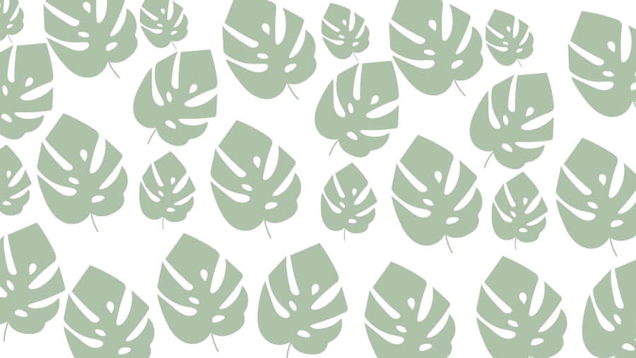 Padrão Minimalista Boho Monstera