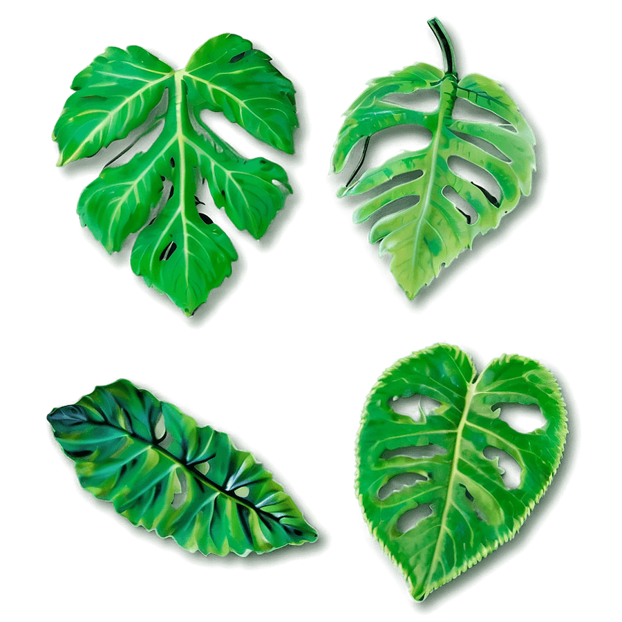 Heartstopper Leaves Picture PNG 05252024