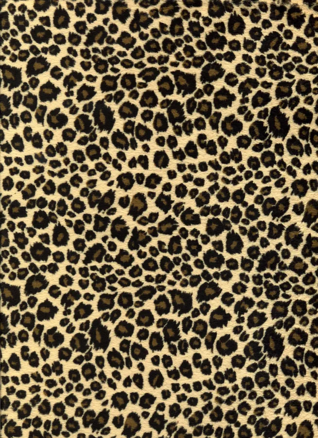 Leopard Pattern