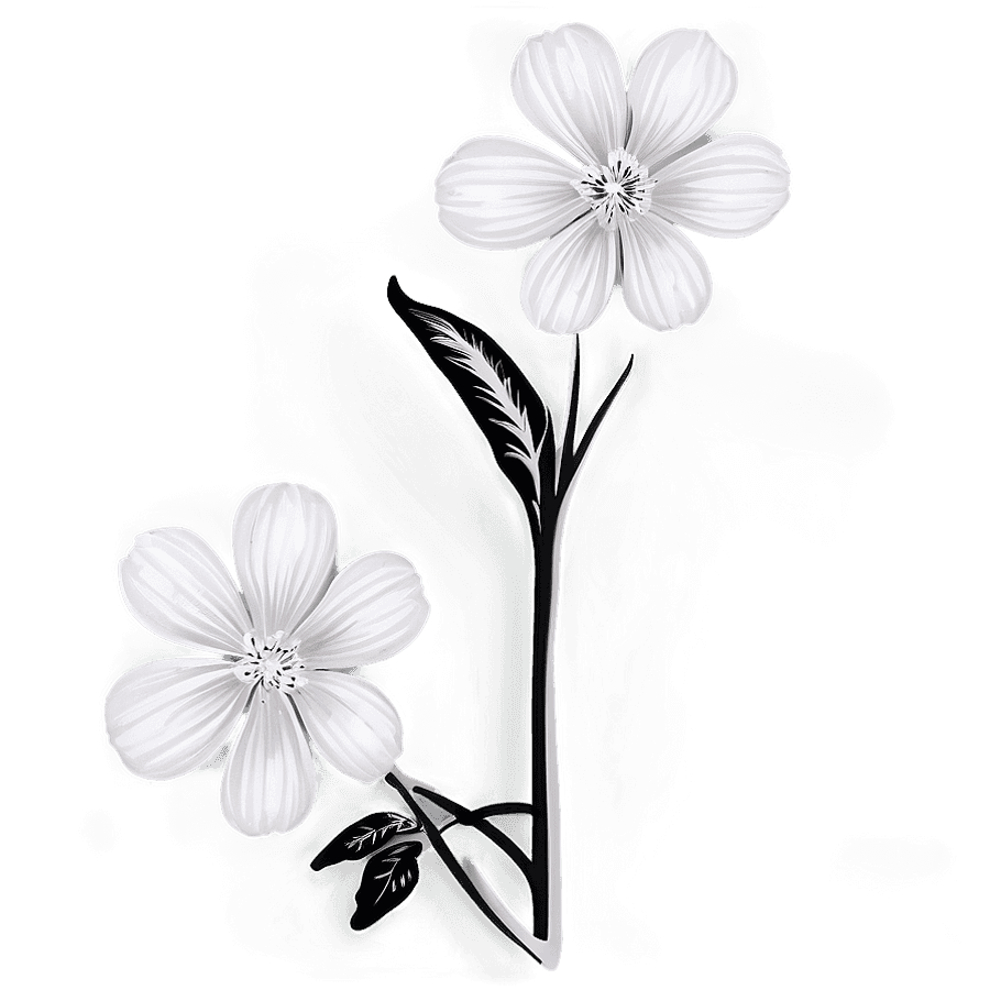 Shadow and Light Flower in Black and White PNG 44