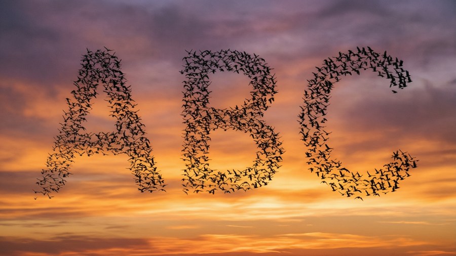 Oiseaux formant ABC Fonds d'écran