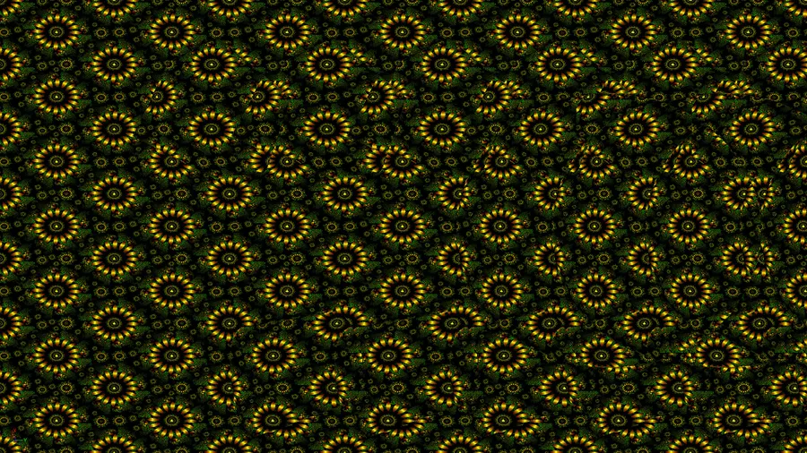 Magic Eye