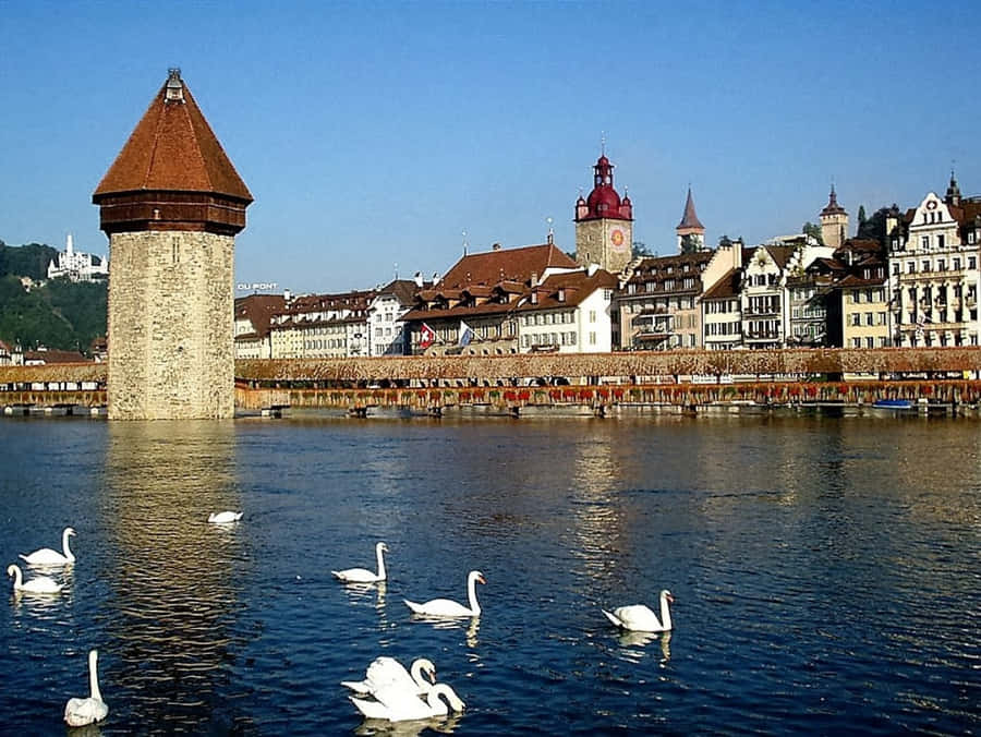Vista Cênica do Lago Lucerna