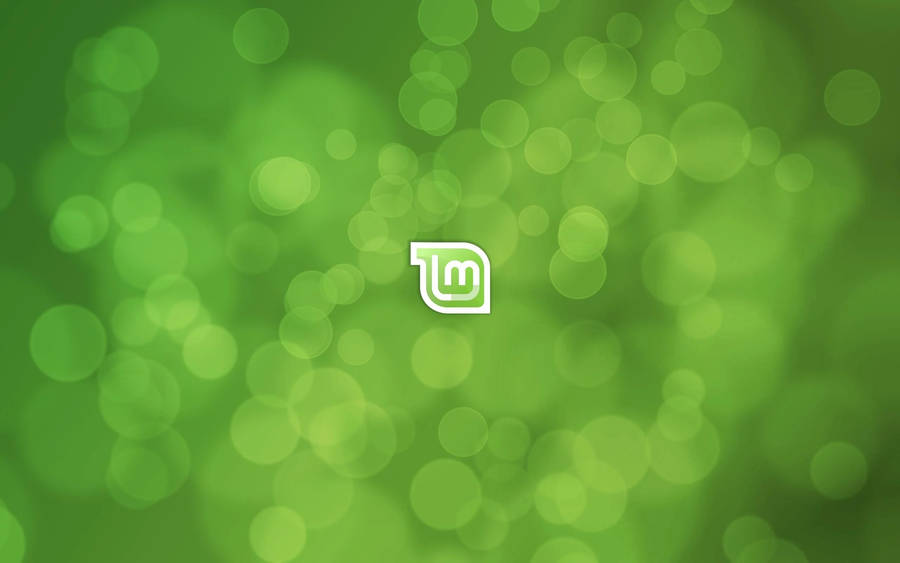 Operating System Linux Mint 9 Default