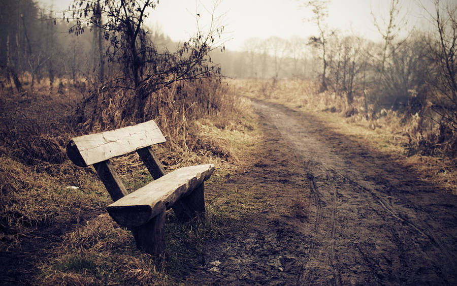 2560x1600 Bench HD Wallpaper and Background Image