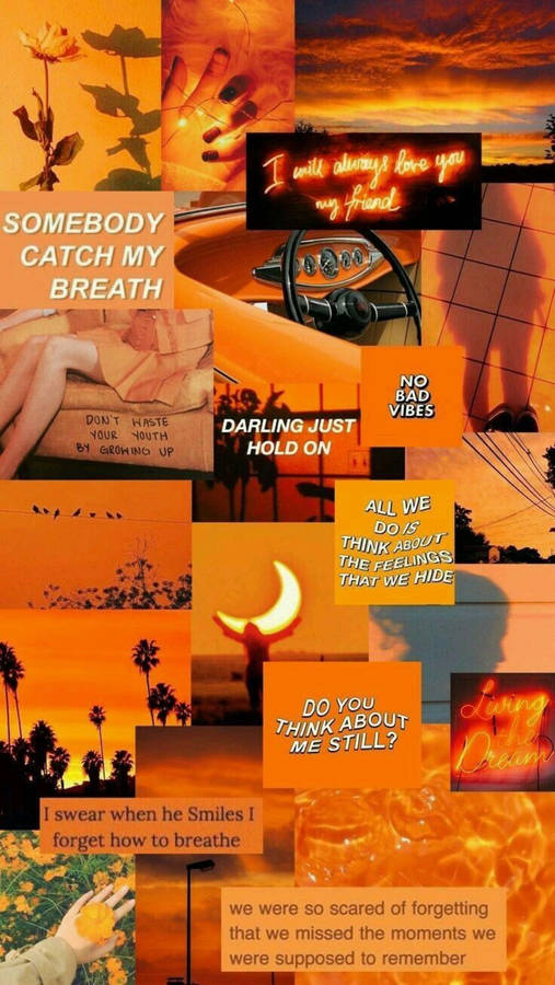 Download Orange Aesthetic Text Collage Phone Wallpaper | Wallpapers.com