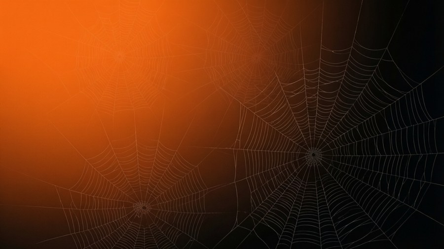 Orange Sort Gradient Wallpapers