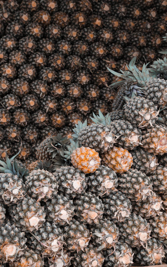Organized pineapples stacked together wallpaper