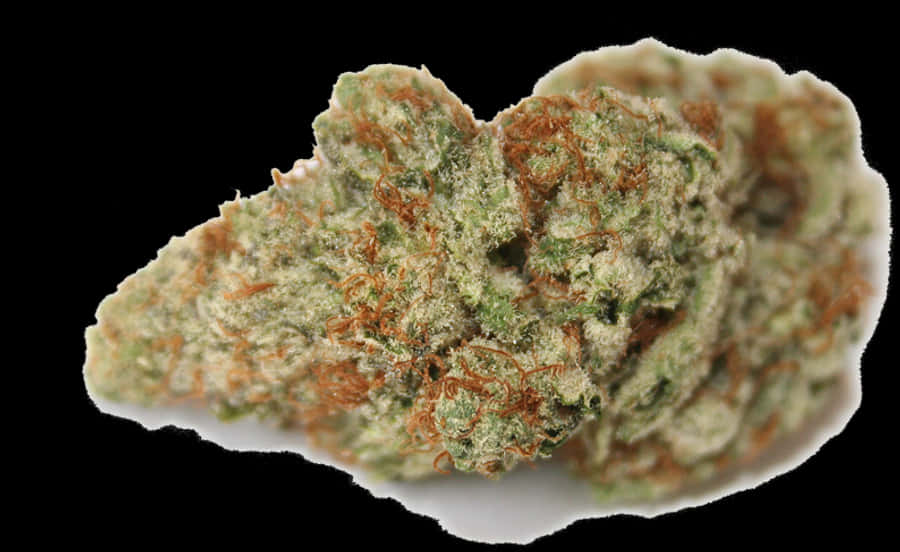 “hi, I’m Bubba, Your Sample Gram - One Gram Of Weed Png, Transparent Png