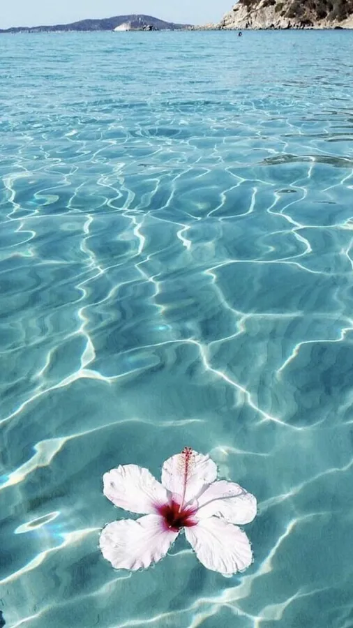 Android Summer Background