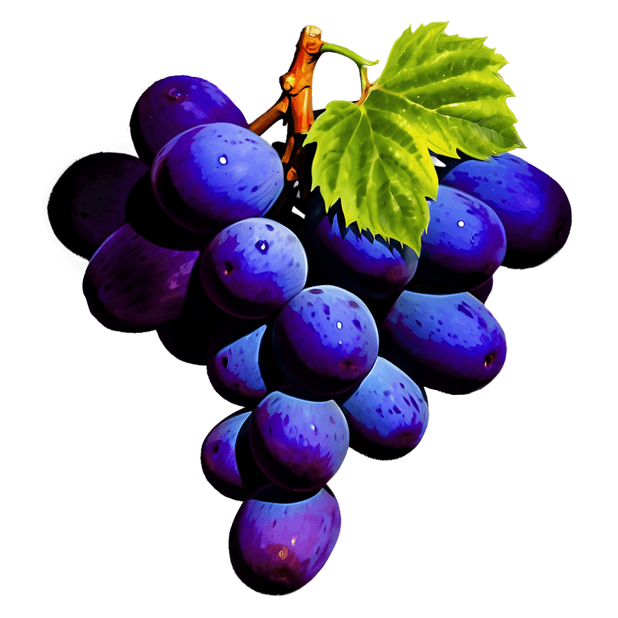 Vibrant Color Grape PNG exo