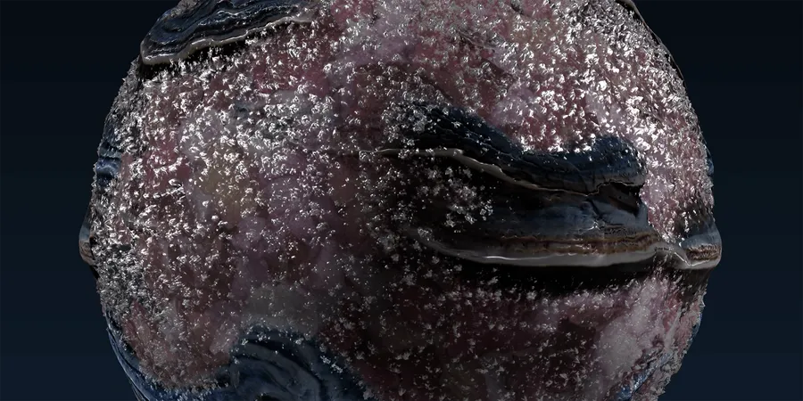 Primordial