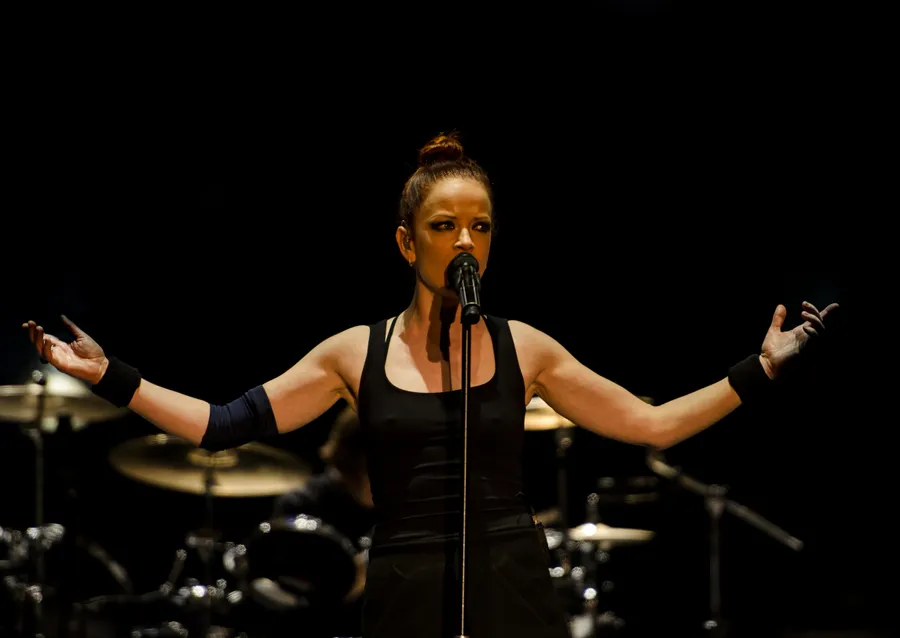 Singer Performing On Stage
