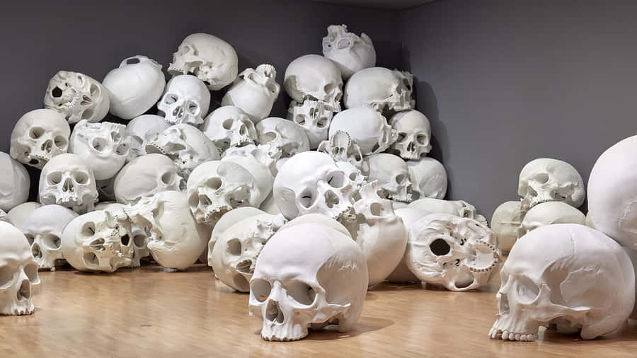 Installazione Artistica di Teschi Giganti