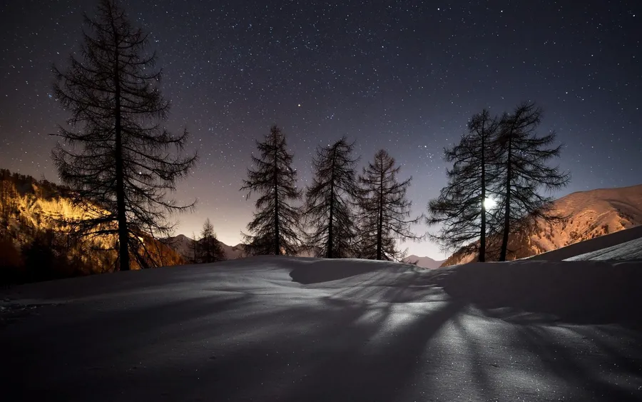 Winter Hd Desktop