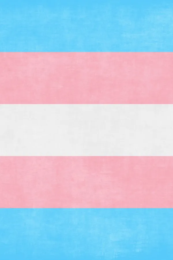 Trans Flag