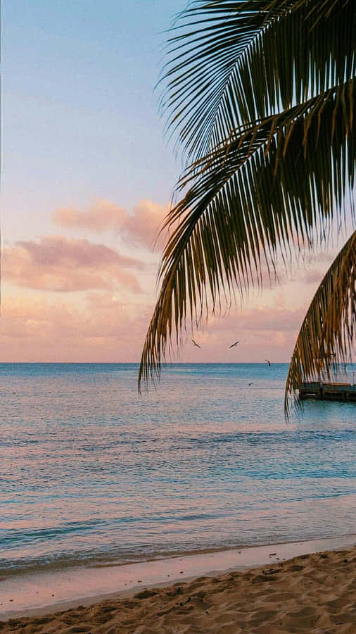 Tramonto sulla Spiaggia con Palme Pastello