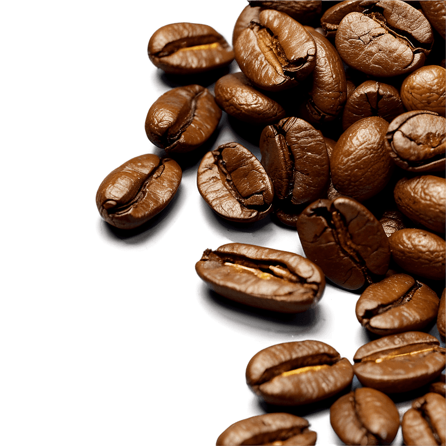 Coffee Bean Splatter PNG jap