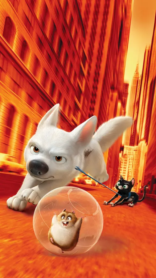 Bolt pictures