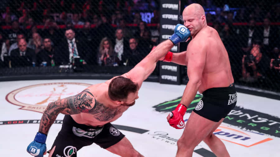 Bellator 214 Fedor Emelianenko 2019 stil klassisk tapet