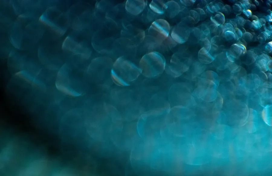 Dark Teal