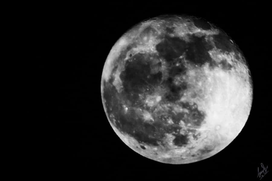 Una Stupenda Visione della Luna Gibbosa Calante