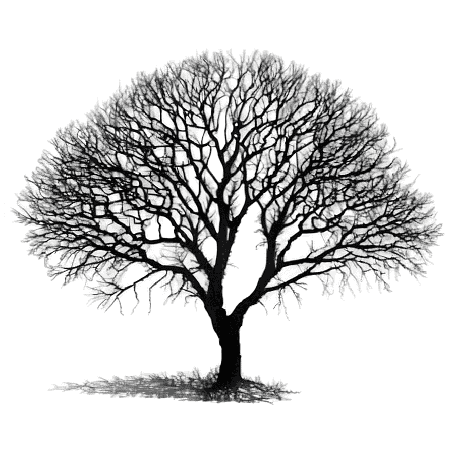 Black Trees and Ravens PNG kce20