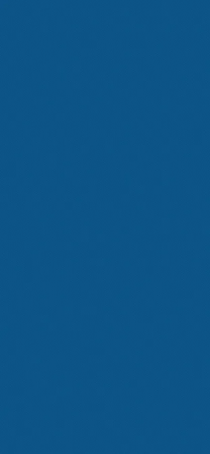 Portrait Background
