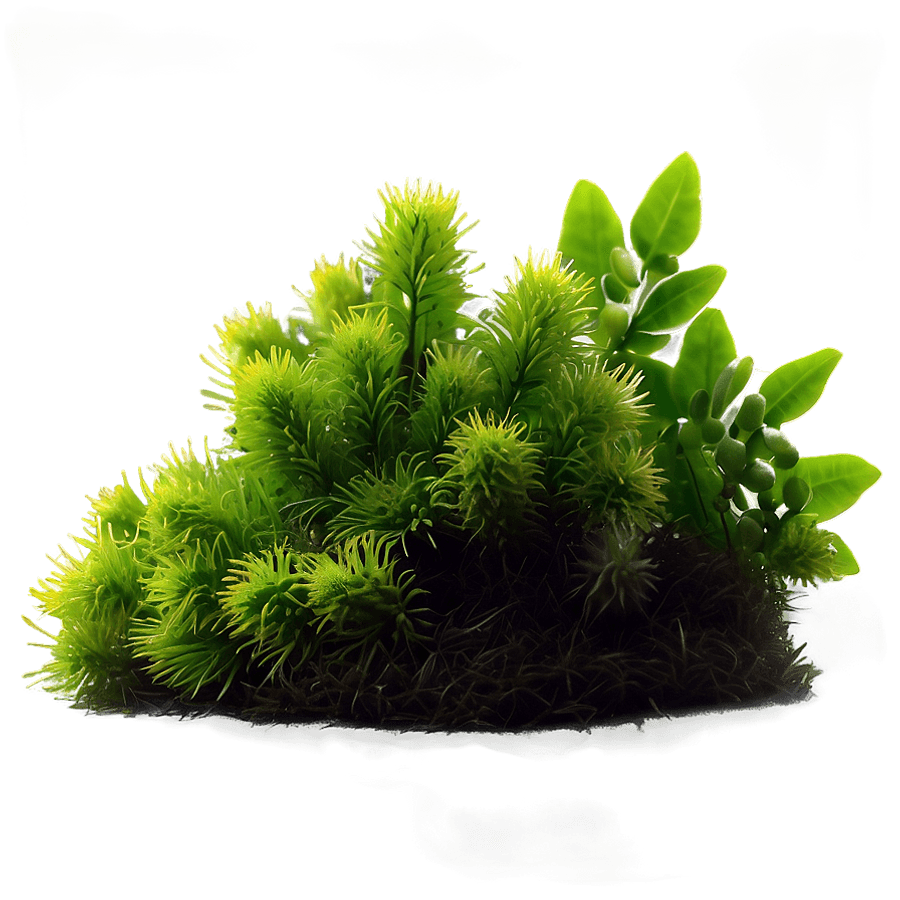 Spring Moss Bloom PNG kaw