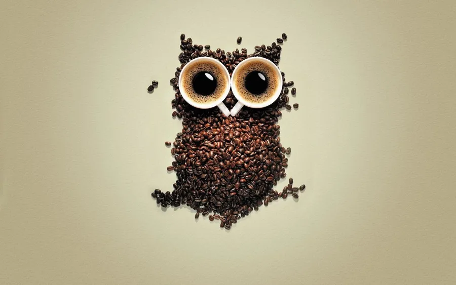 Owl background