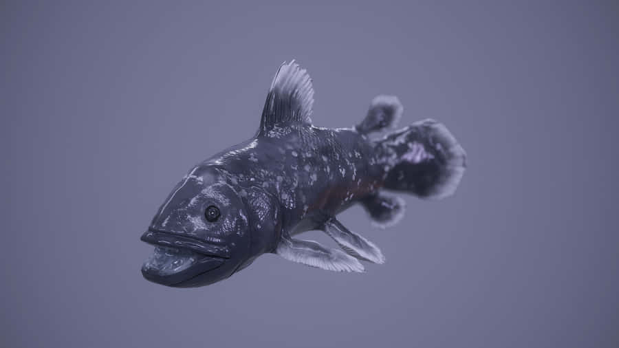 Coelacanth Fisch unter Wasser