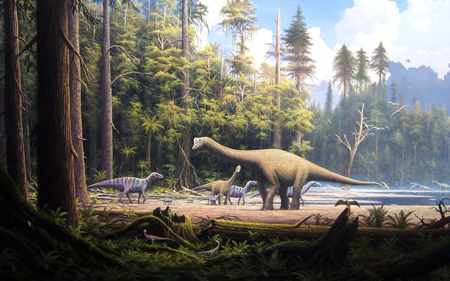 Cool Dinosaur