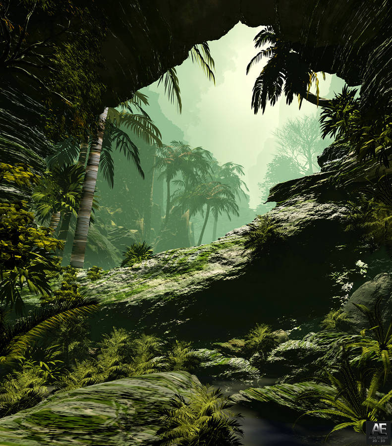 Download Palms Foggy Jungle Wallpaper | Wallpapers.com