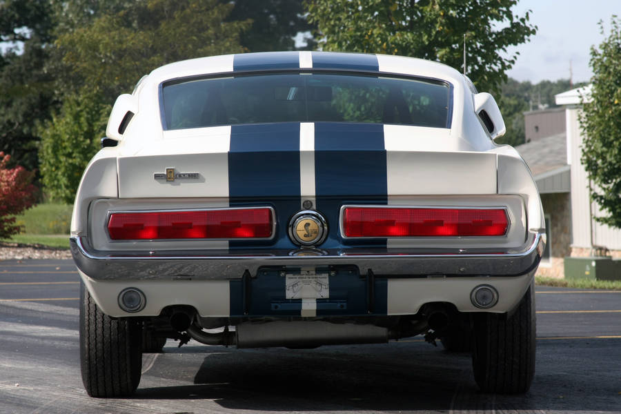 Vehicles Ford Mustang Ford HD Wallpaper | Background Image