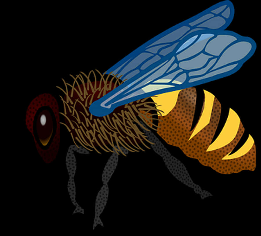 Stylized Honeybee Illustration
