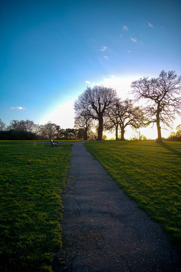Path Side Bench