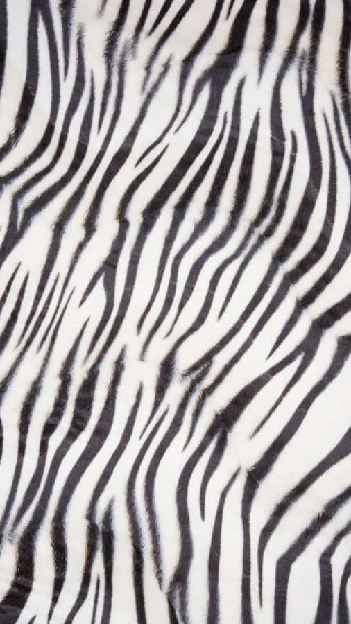 Pattern Background