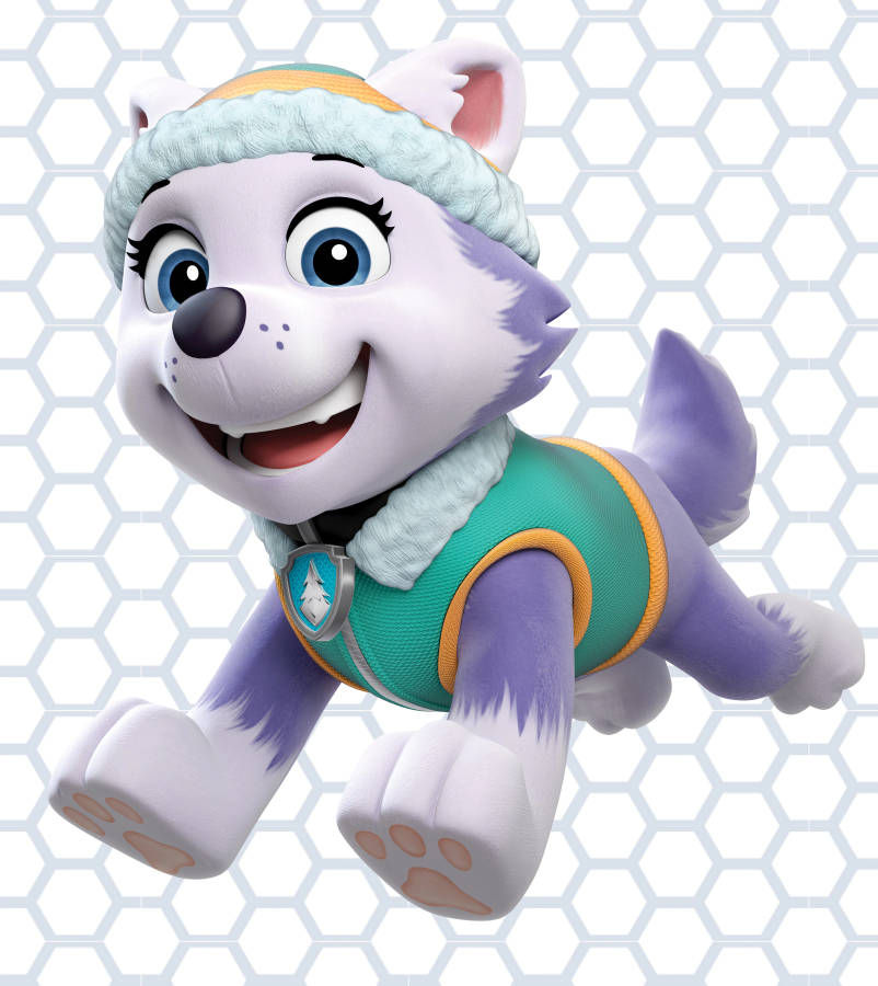 husky on paw patrol