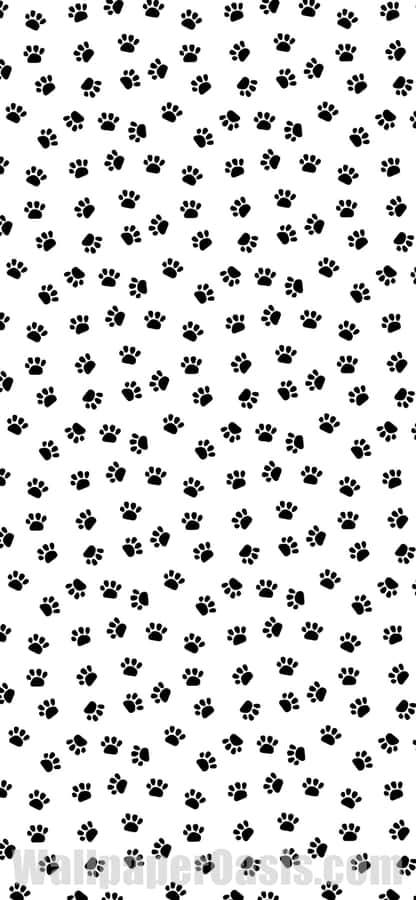 paws Background
