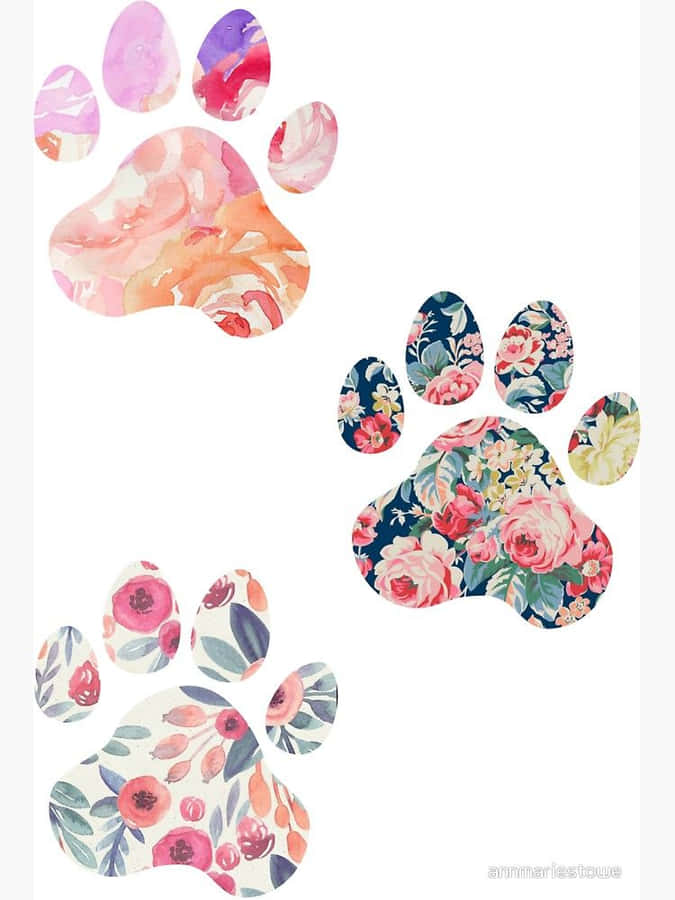 paws Background