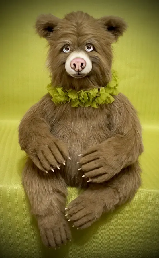 Funny Bear Pictures