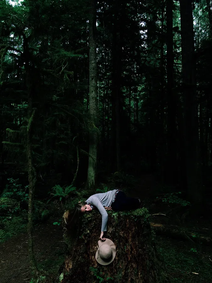 Sleep in calm rainforest wallpaper